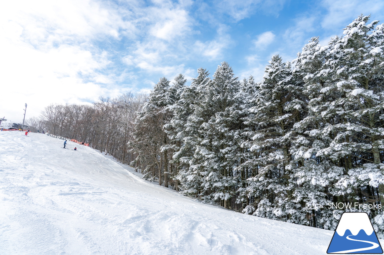 北長沼スキー場｜晴天＋粉雪＝最高！素晴らしいコンディションで、2月がスタート(^^)/